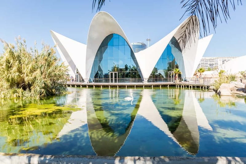 Valencia: Oceanogràfic, Hemisfèric & Science Museum Combo - Should you book the combo?