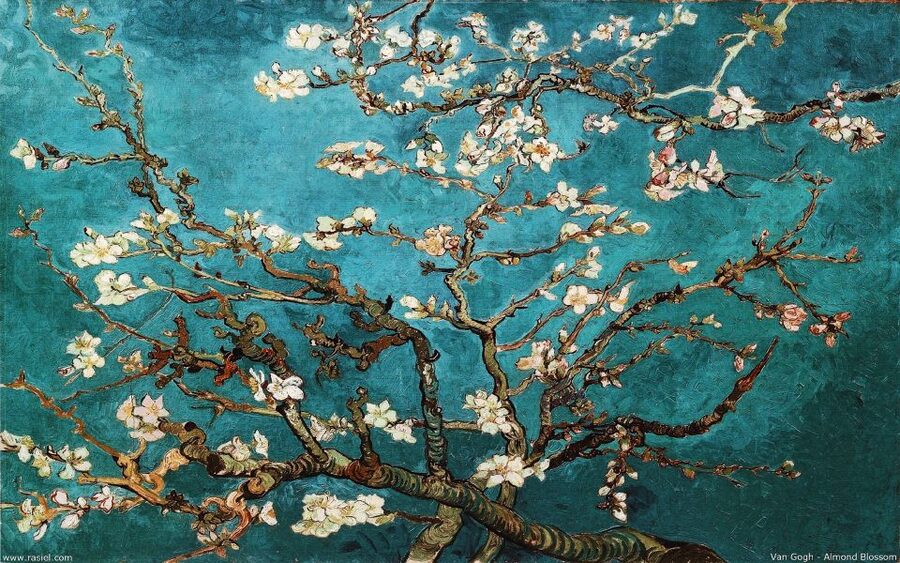 Van Gogh & Rijksmuseum Masterpieces Guided Tour 8 guests 5h - A 30-minute lunch break at Cobra Café