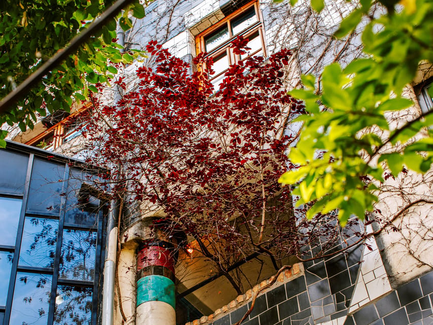 Vienna: Tickets for Kunst Haus Wien: Museum Hundertwasser - Is the $18 ticket good value?