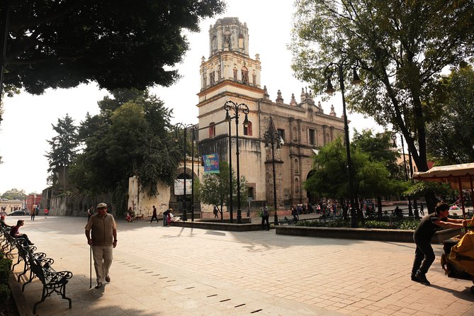 Xochimilco, Coyoacan and Frida Kahlo with Optional Lunch - The private option and the traffic problem